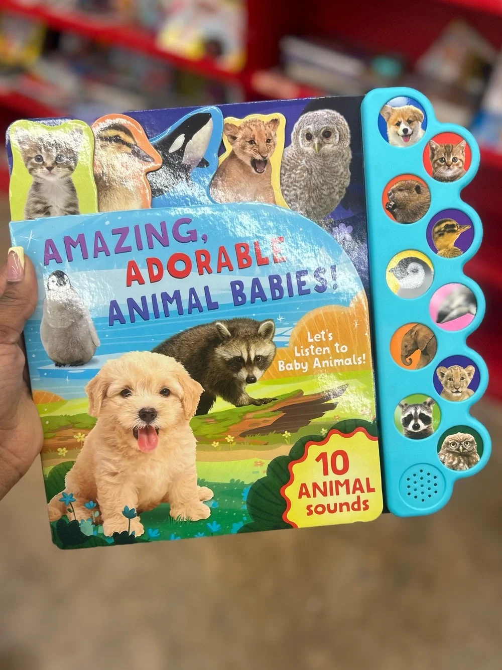 Children Audio Panel books ABC , animals, colors etc